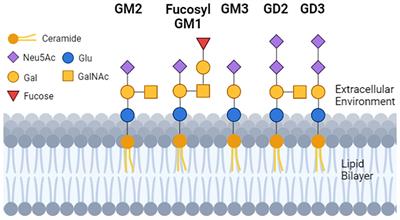 The cancer glycocode as a family of diagnostic biomarkers, exemplified by tumor-associated gangliosides